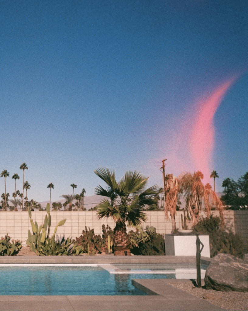 palm springs 35mm shot on Chinon Intrafocus